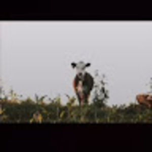 Meet your Posher, Carmen